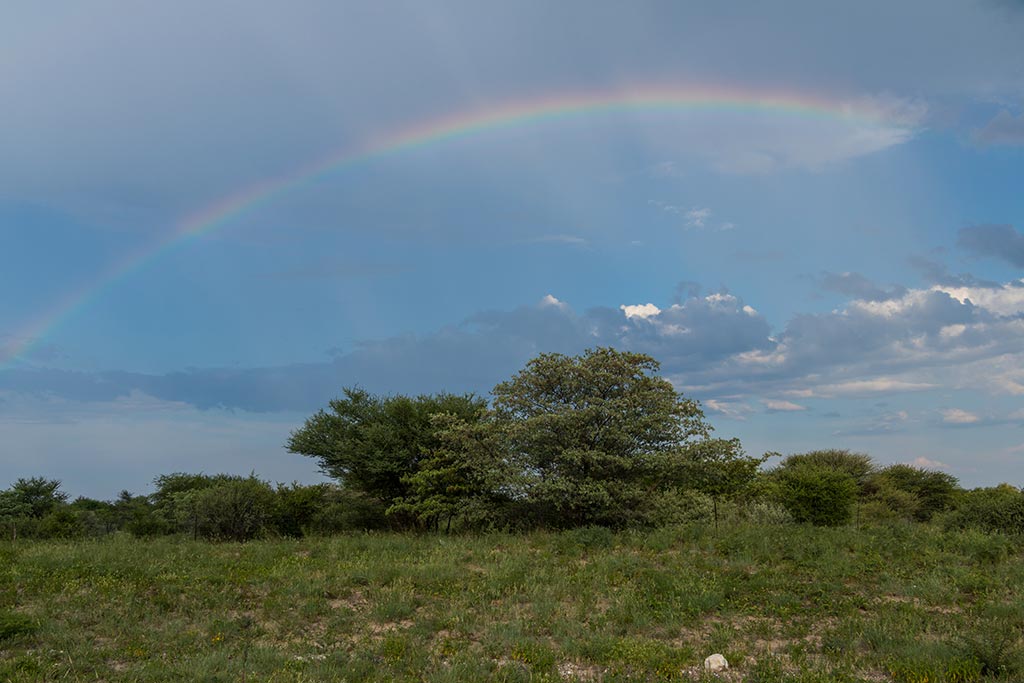 Ghanzi-Regenbogen-Kalahari