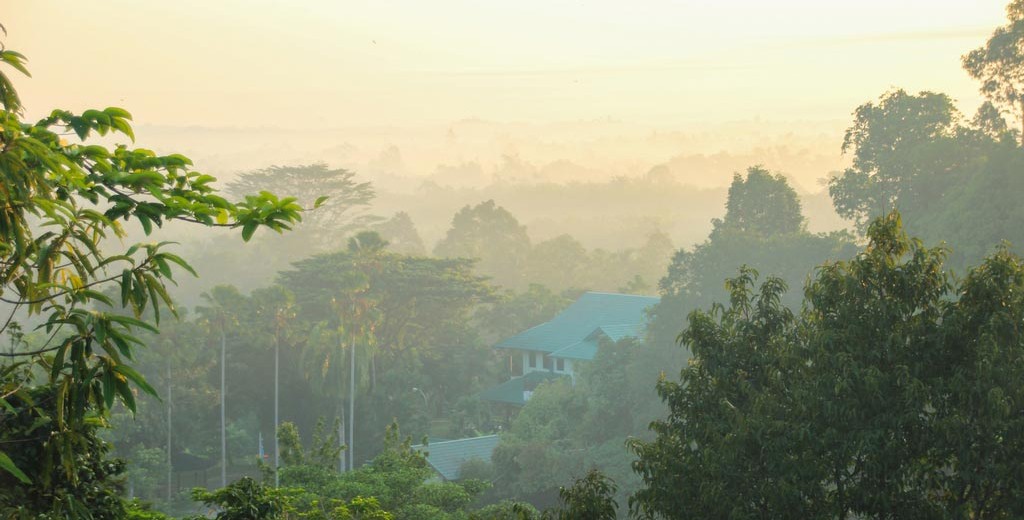 Die 7 Schonsten Nationalparks Auf Borneo Die Du Nicht Verpassen Darfst Last Paradise